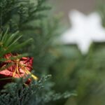 Needles of a pine tree with a small, red gift box ornament and a white star in the background.